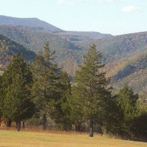 Meet your Posher, Roger